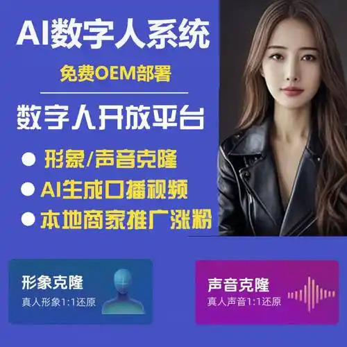 ai虚拟数字人主播定制